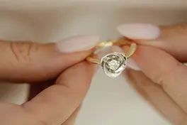 Комплект Rosas